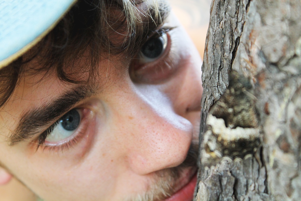 Image - curiosity man butterfly tree