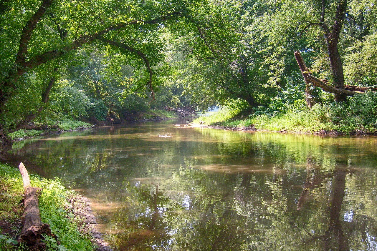 Image - river trees water landscape nature