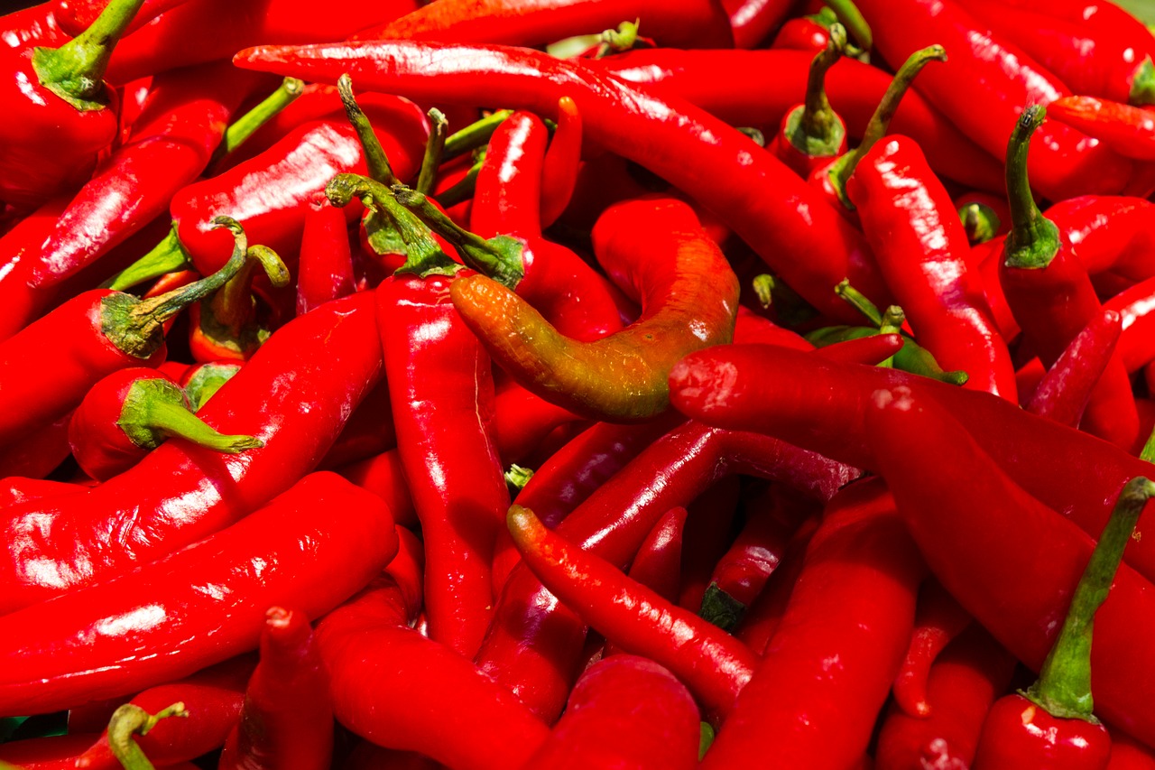 Image - red shiny spicy hot pepper fresh