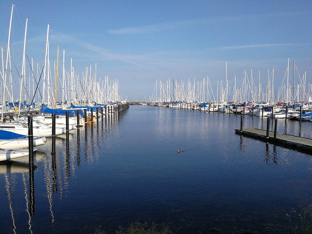 Image - port both water sail summer blue