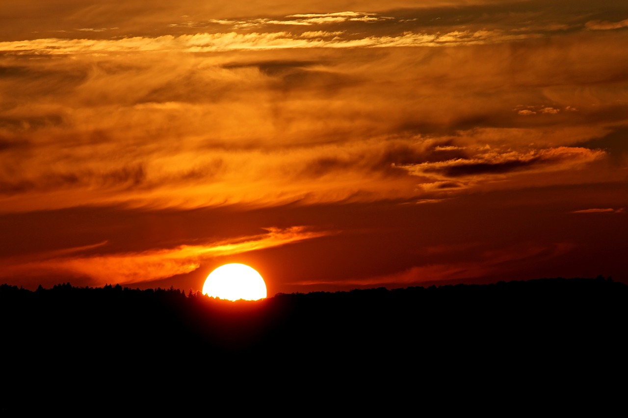 Image - sunset horizon forest evening sun