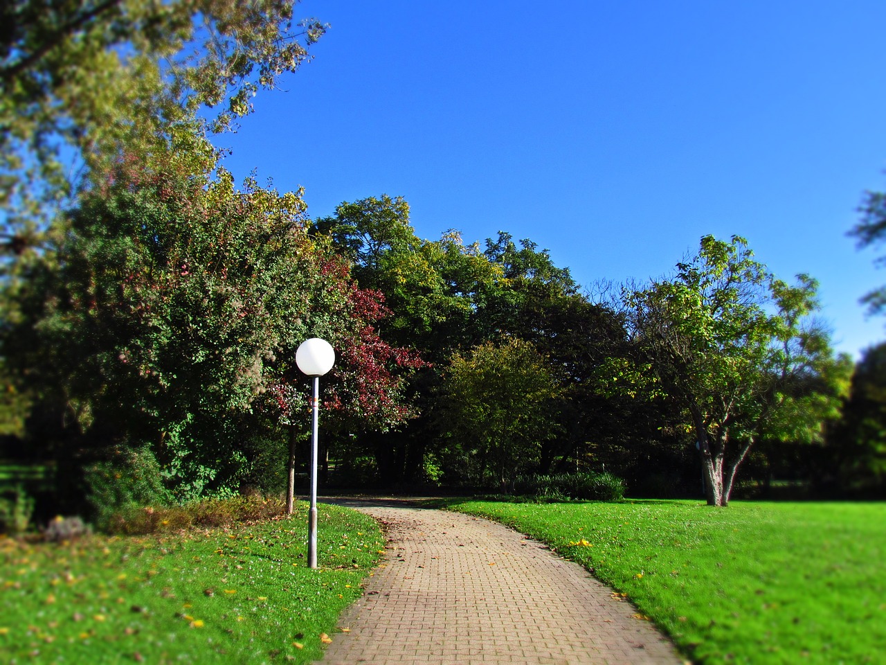 Image - park alley lane lantern tree