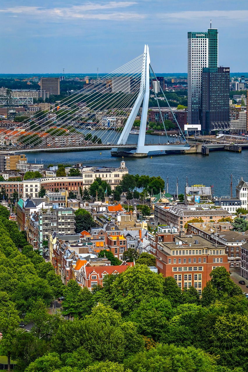 Image - city cityscape aerial view bridge