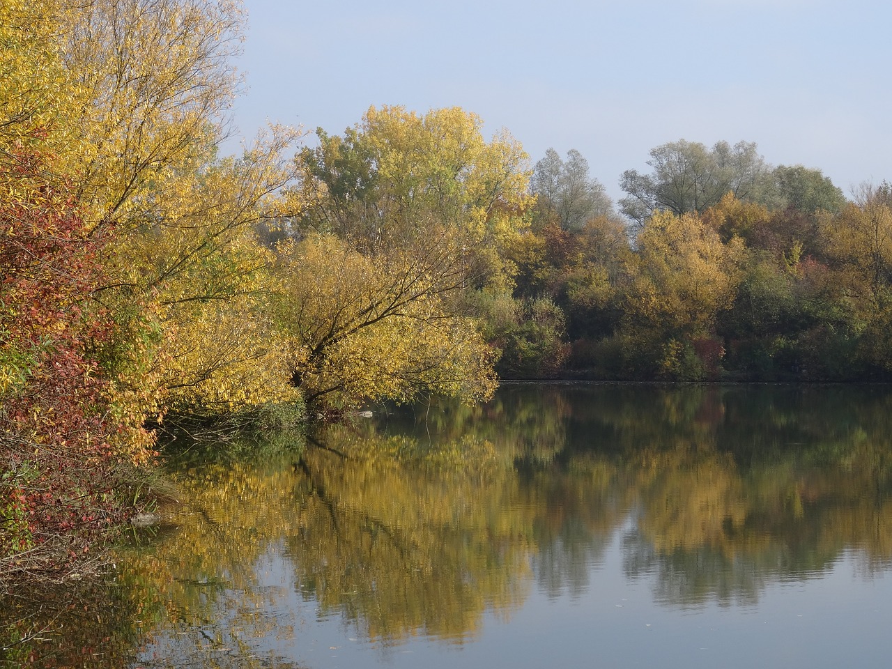 Image - altbach age neckararm autumn