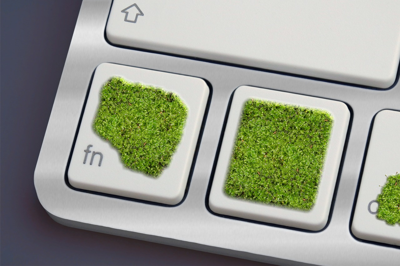 Image - keyboard moss green eco computer