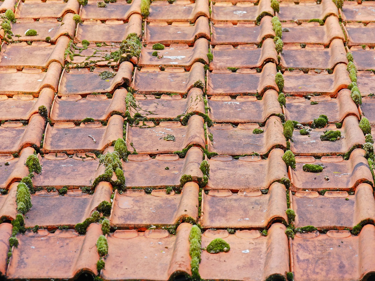 Image - old roof roofing tiles barn moss