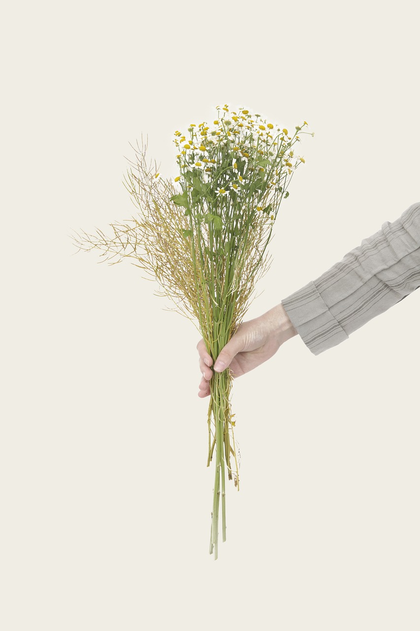 Image - bouquet flowers nature holding