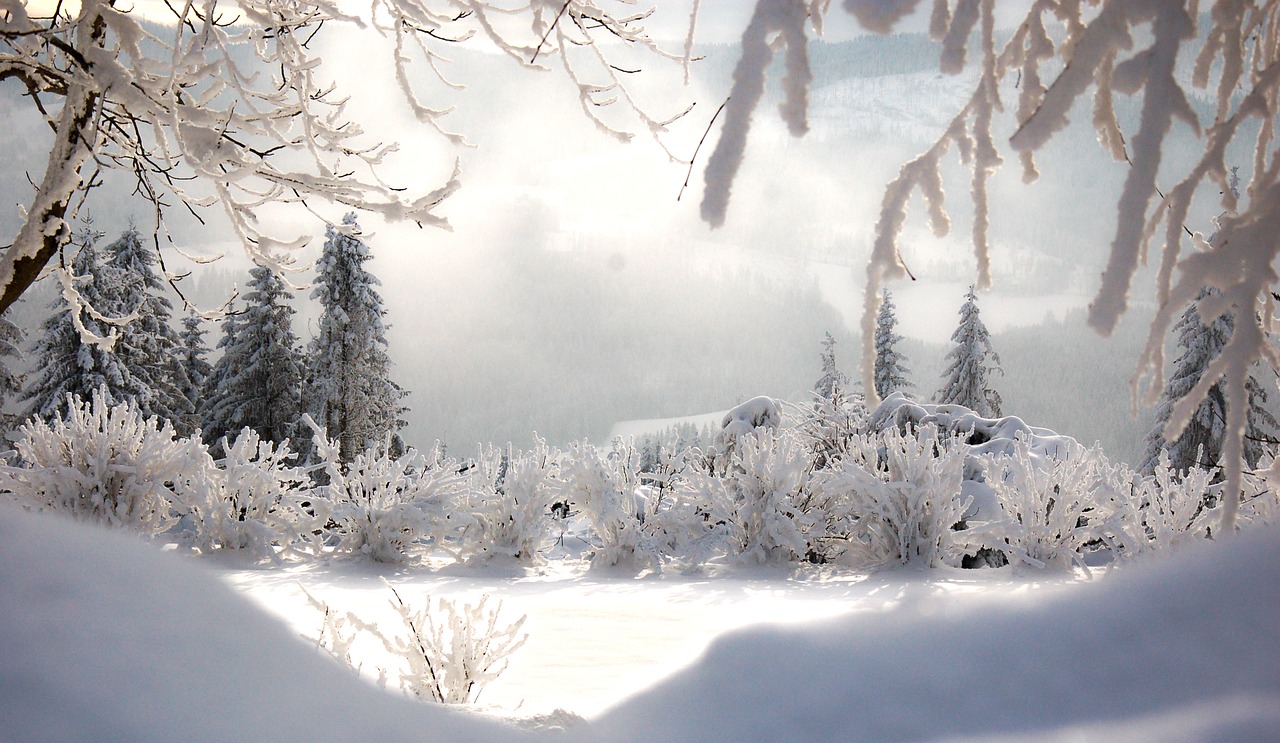 Image - winter hoarfrost wintry