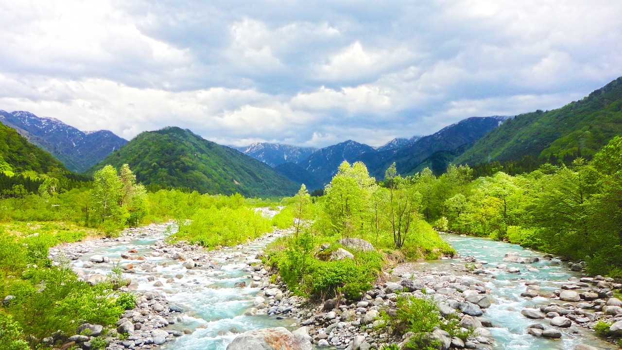 Image - fresh green river spring mountain