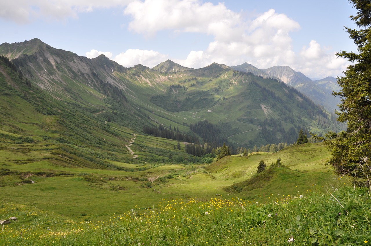 Image - mountains meadow h sky landscape