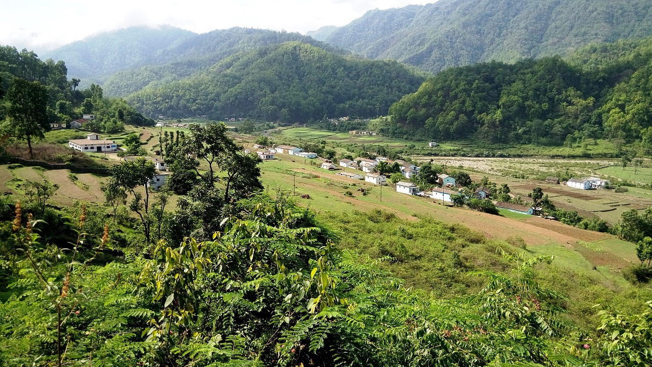 Image - nature india jungle valley green