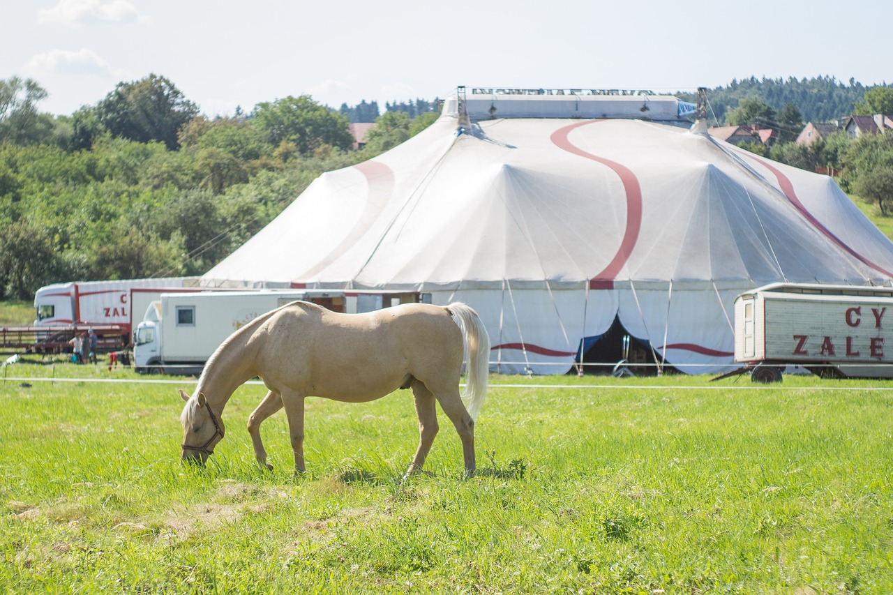 Image - circus the horse circus tent
