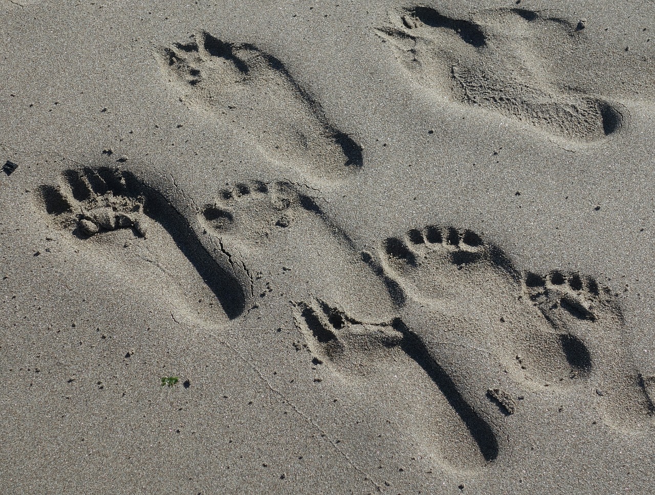 Image - footprints sand beach traces