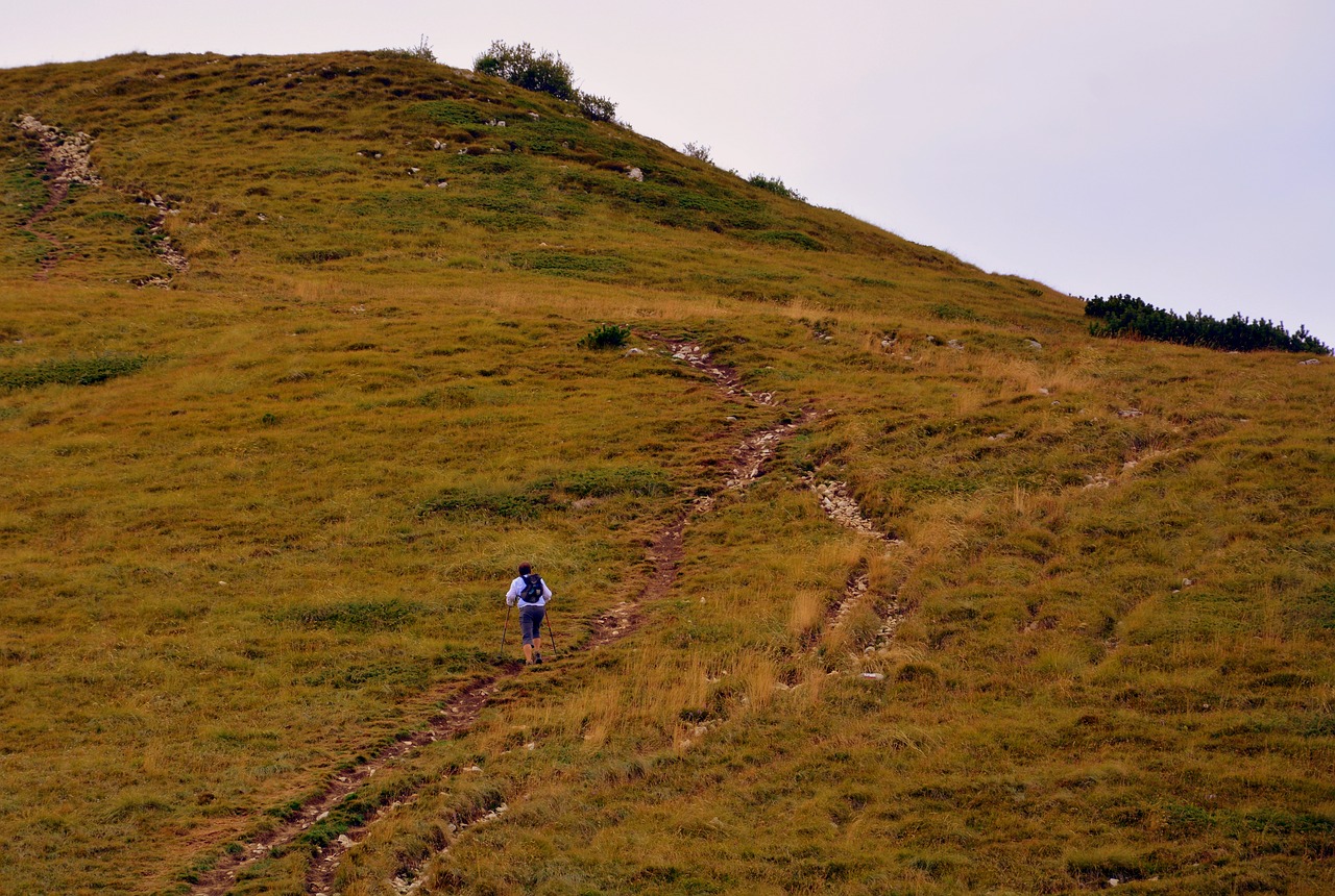 Image - trail hiking ascent walk mountain