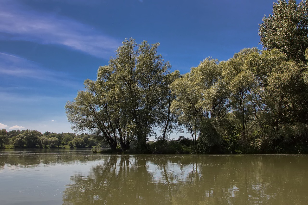 Image - danube slovakia nature river