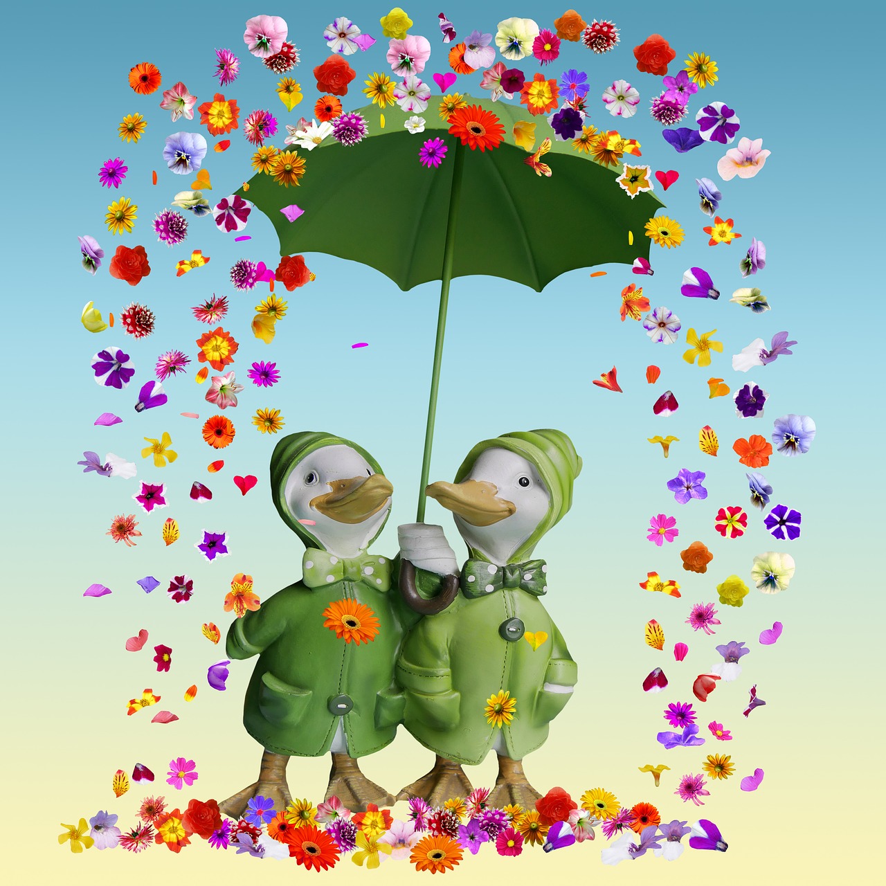 Image - flowers flowers rain umbrella ducks