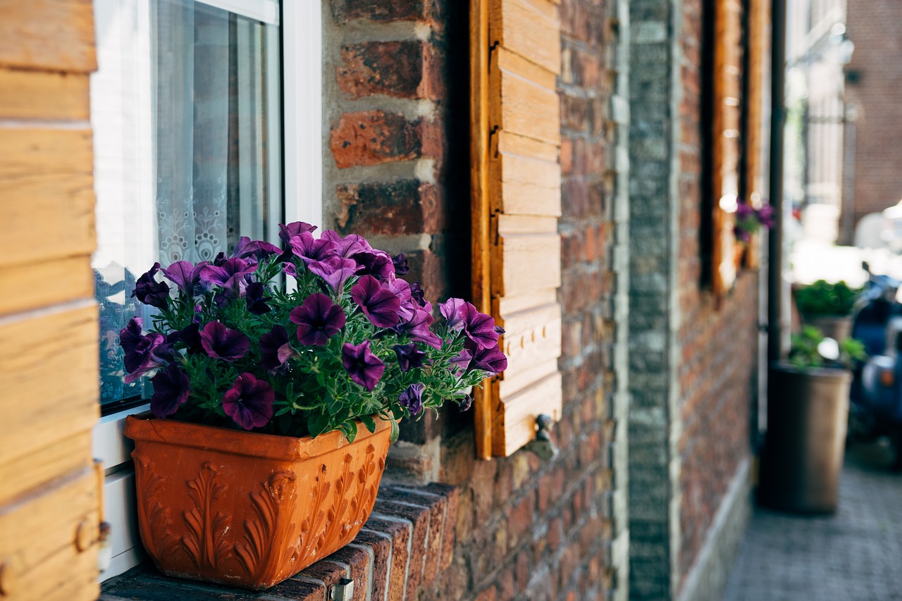 Image - house home decoration flowers