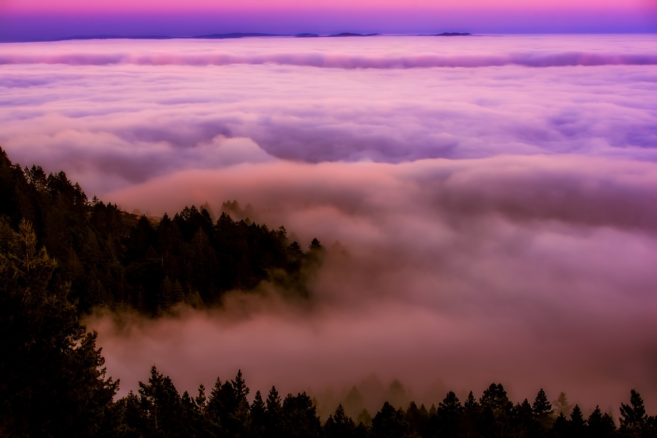 Image - california sunrise fog haze forest