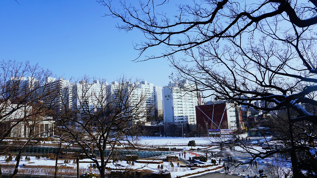 Image - seoul ewha womans university snow