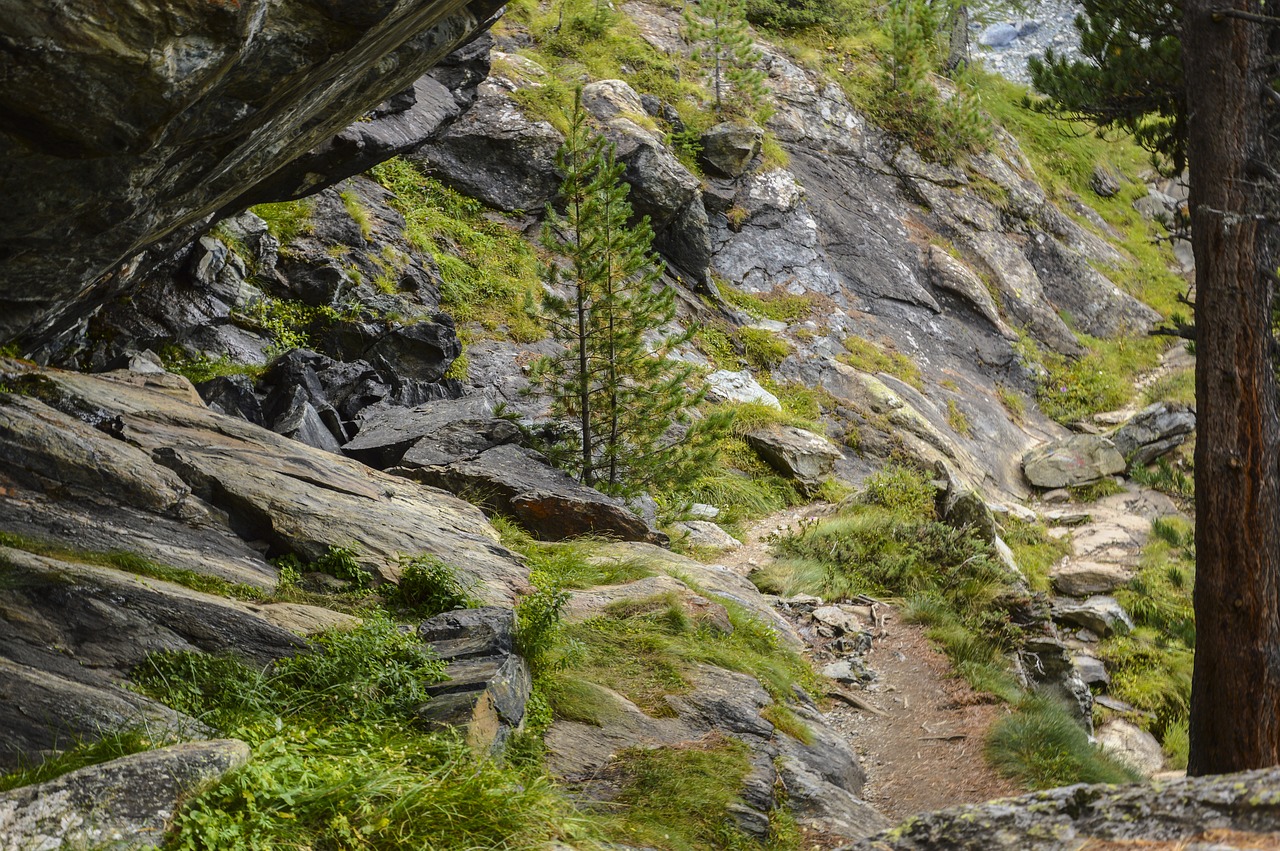 Image - trail hiking swiss alps wanderer