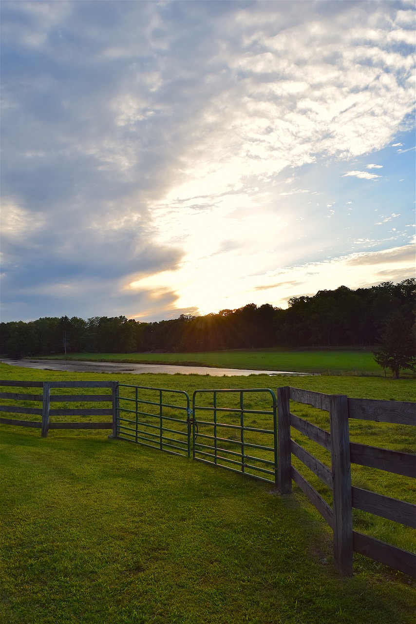 Image - fence rural pasture green grass