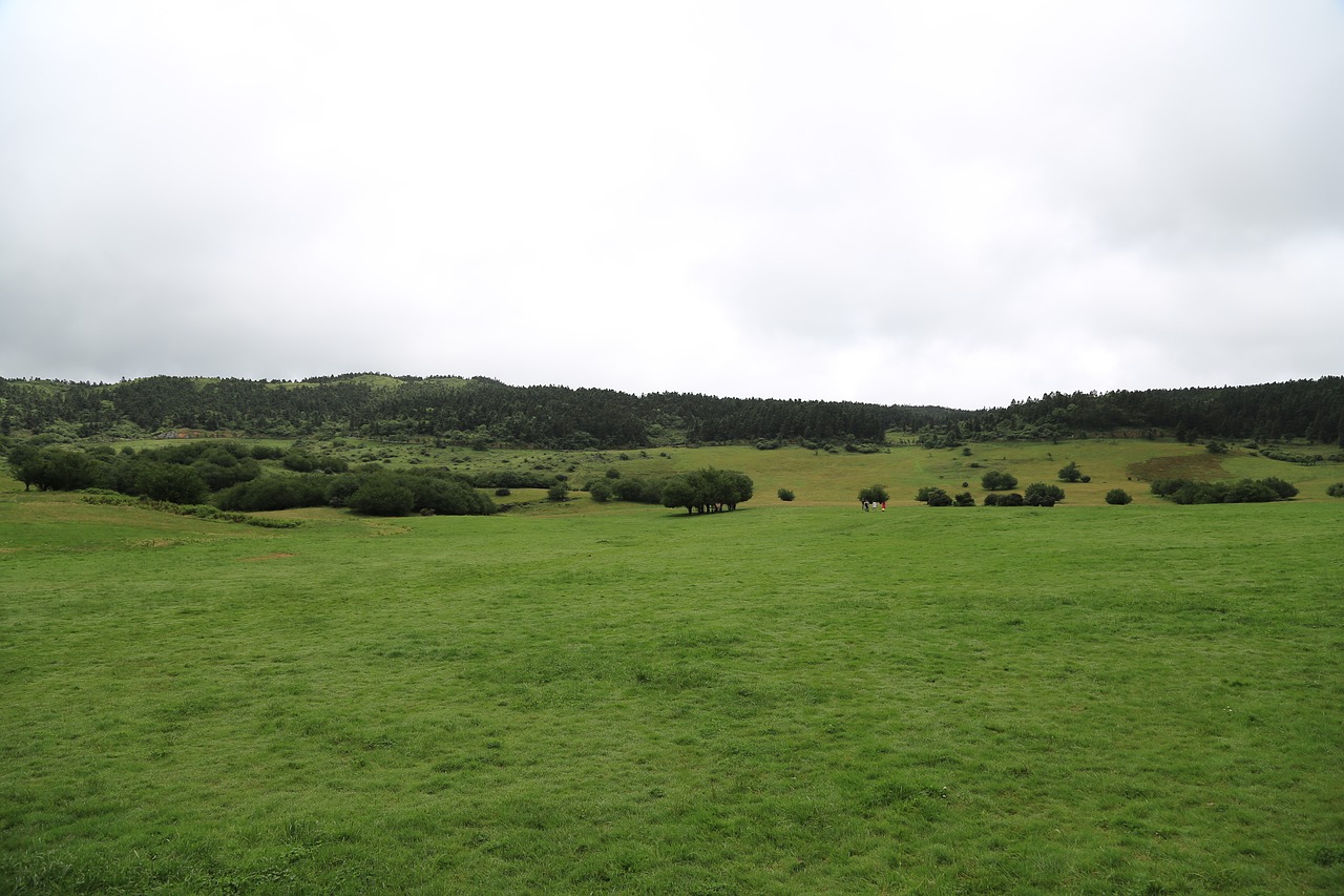 Image - prairie grassland empty