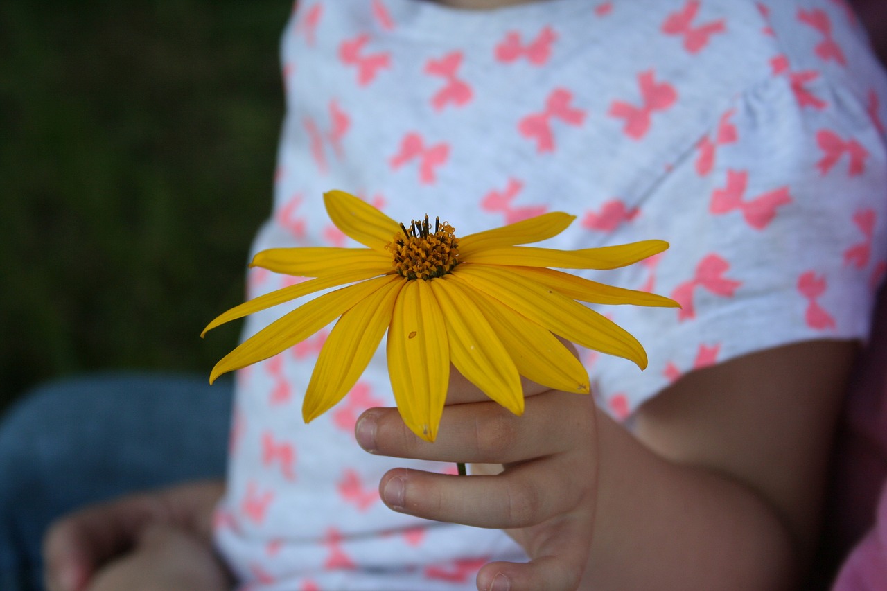 Image - child flower gift child s hand