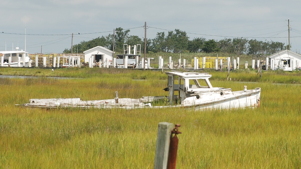 Image - tangier island chesapeake bay