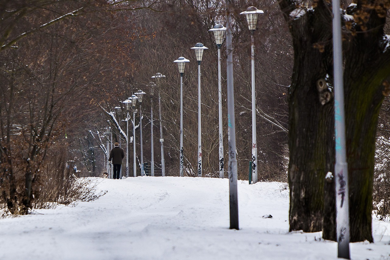 Image - berlin malchow winter walk