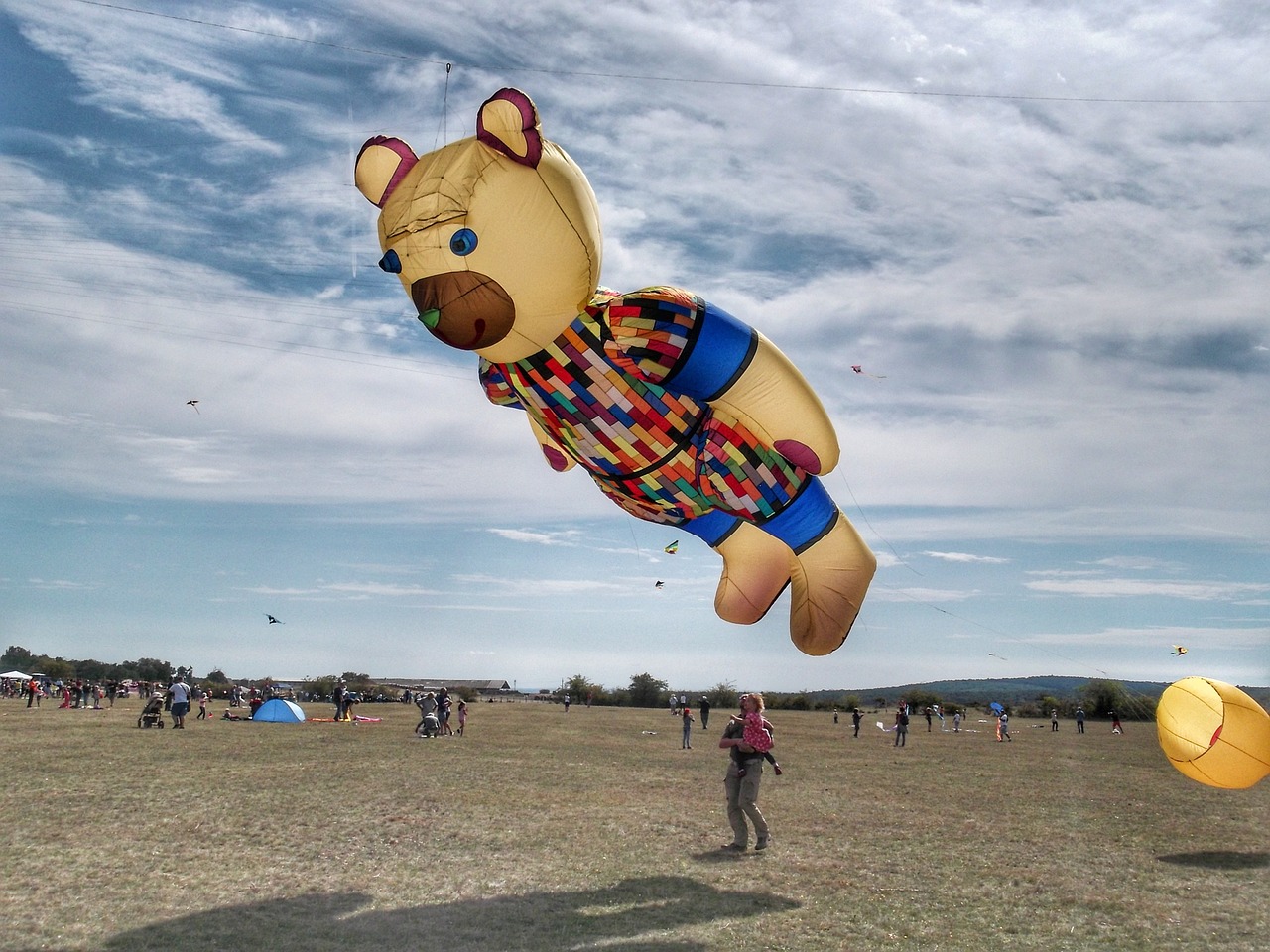Image - dragon kite flying meadow