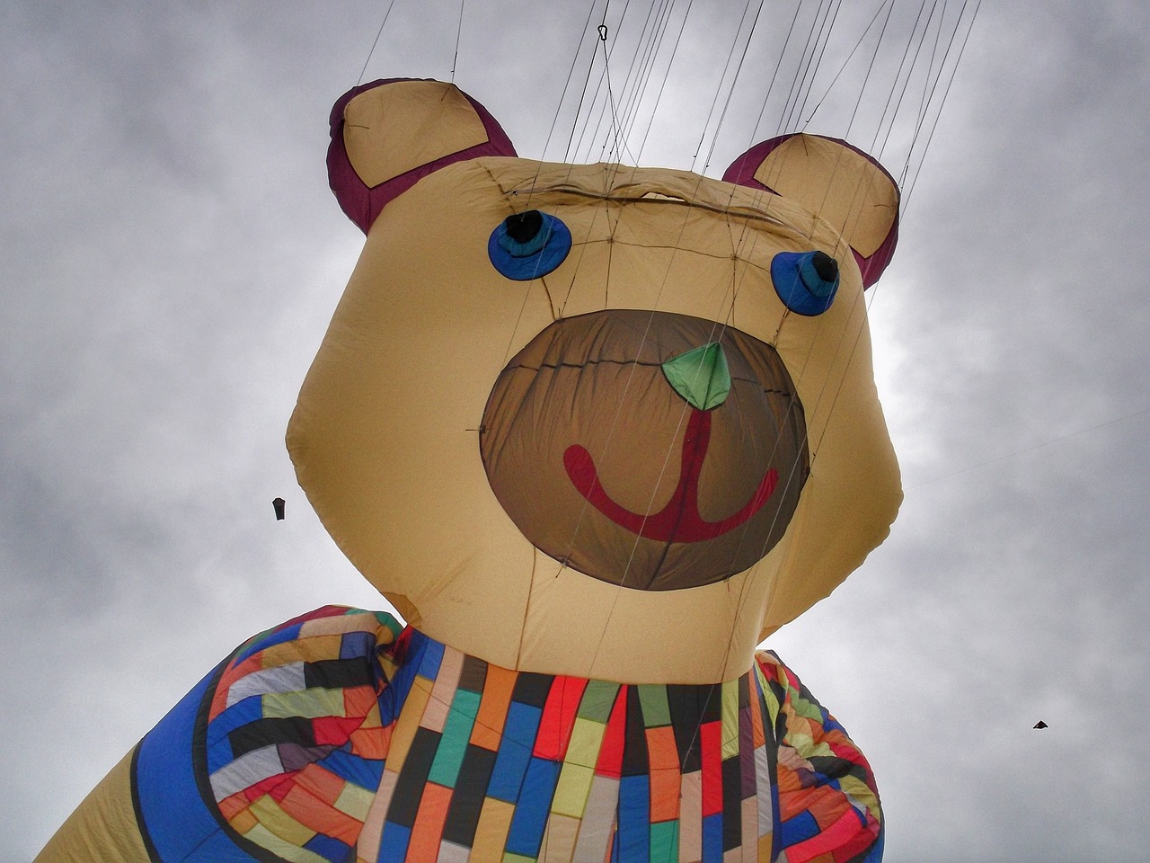 Image - dragon kite flying bear