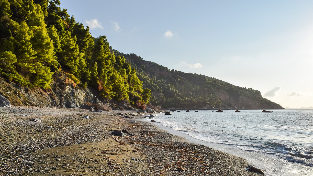Image - beach wild empty nature morning