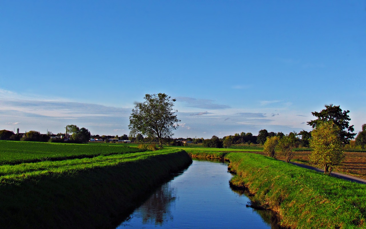Image - river field the brook grass spring