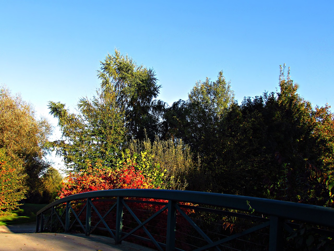 Image - autumn foliage red colors bridge