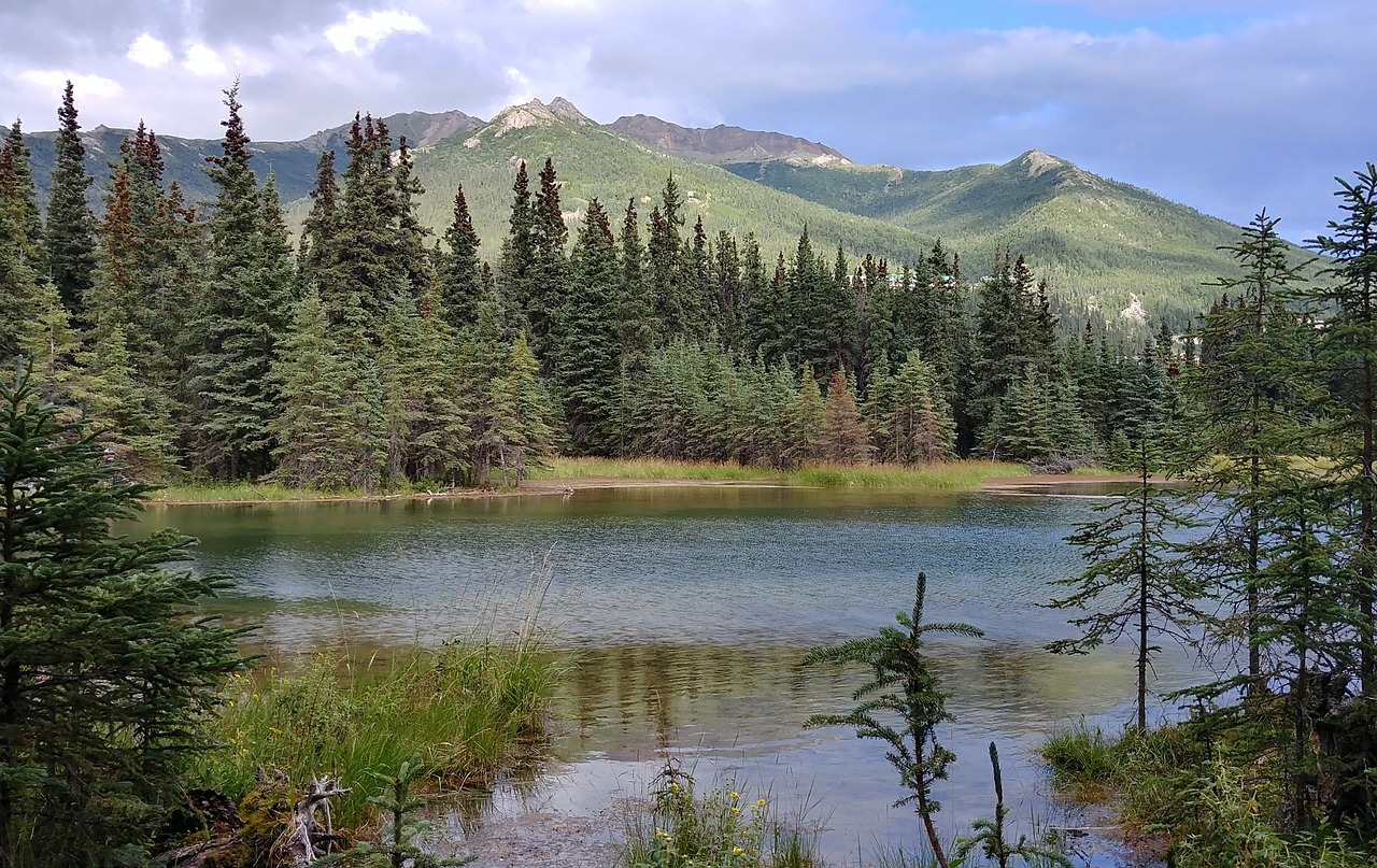 Image - view nature alaska