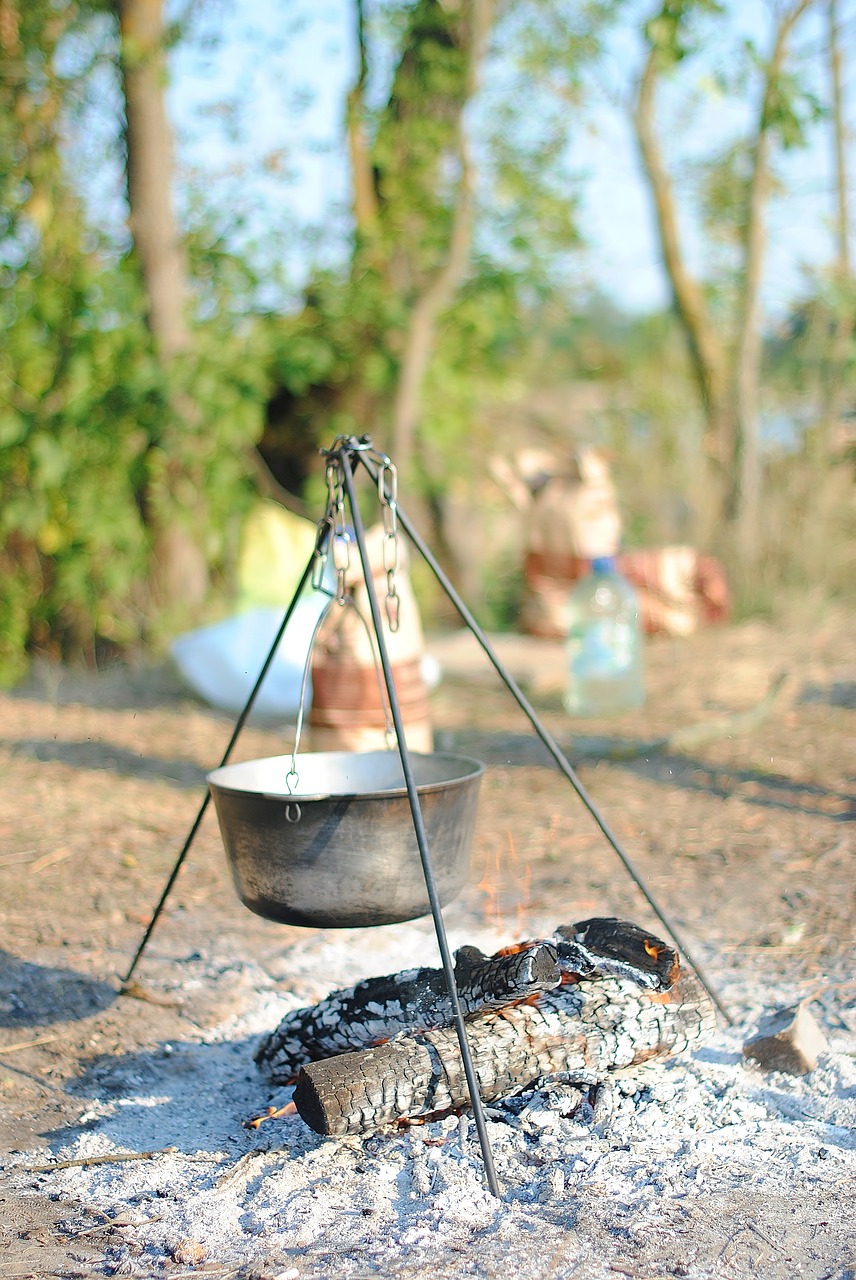 Image - vacation cook nature bokeh