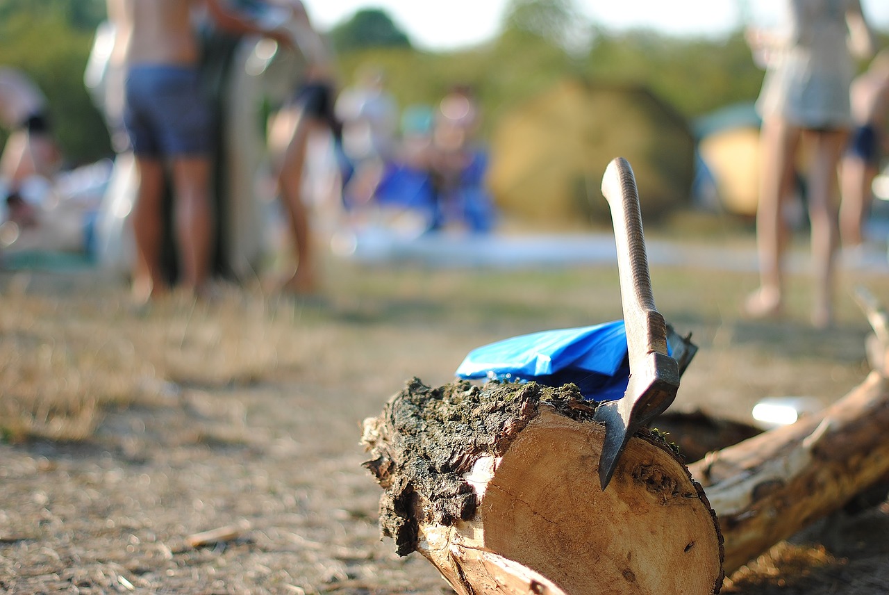 Image - picnic axe bokeh vacation summer