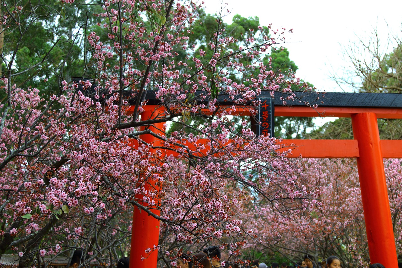 Image - blossom arch spring