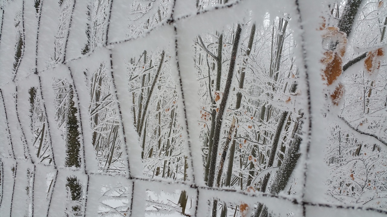 Image - pezinská baba icing winter fence
