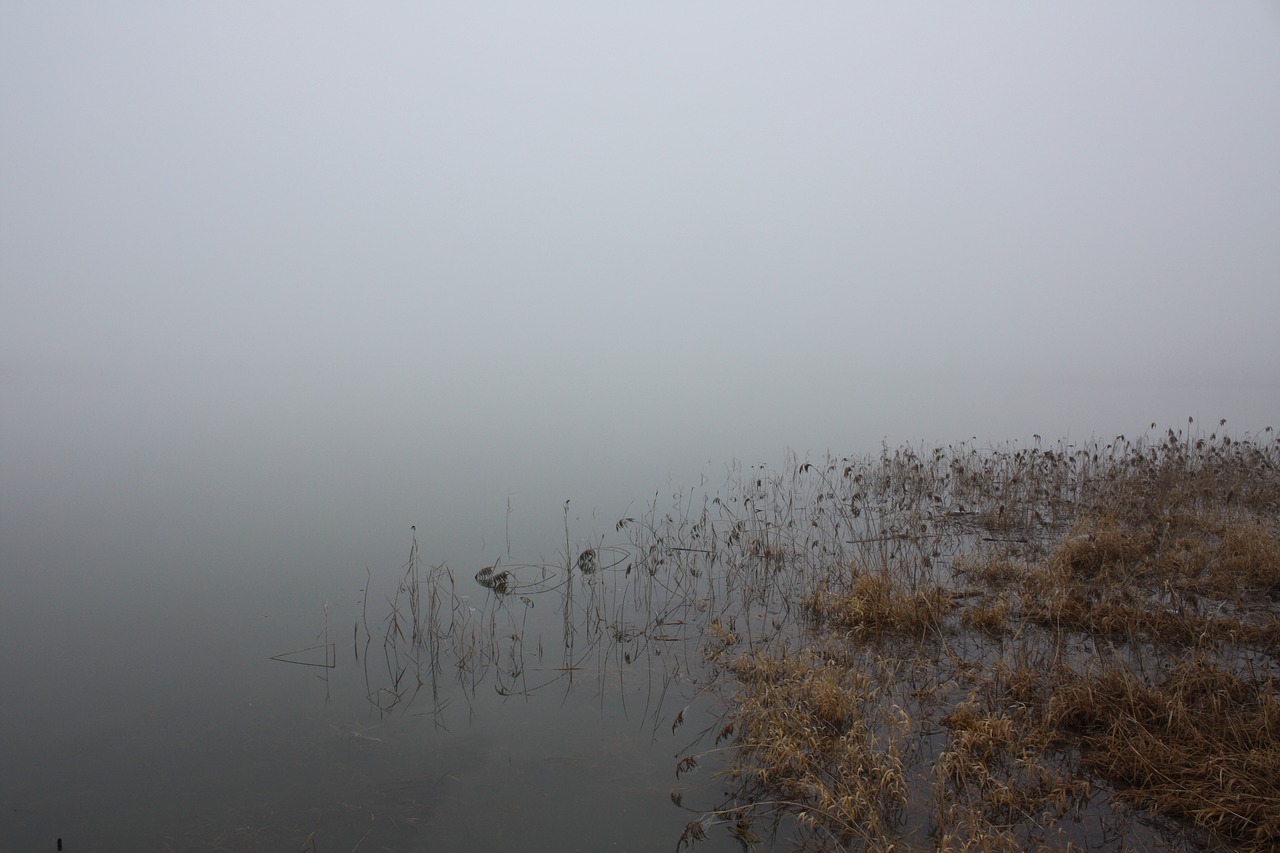 Image - winter water fog lake nature