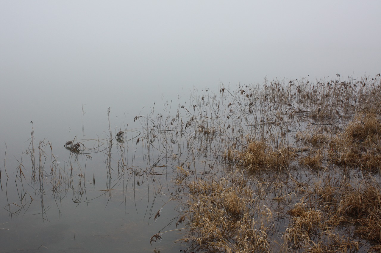 Image - winter water sky fog grey schielf