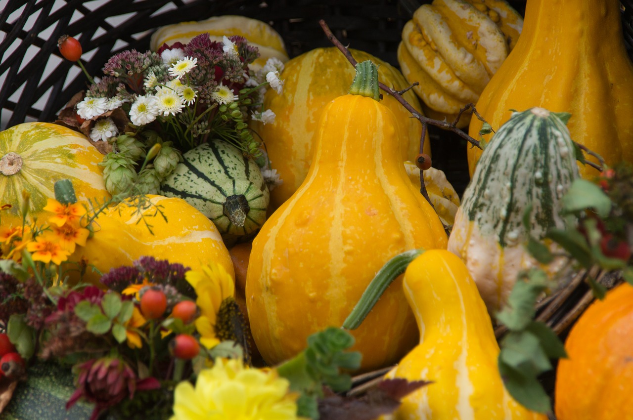 Image - pumpkin autumn deco halloween