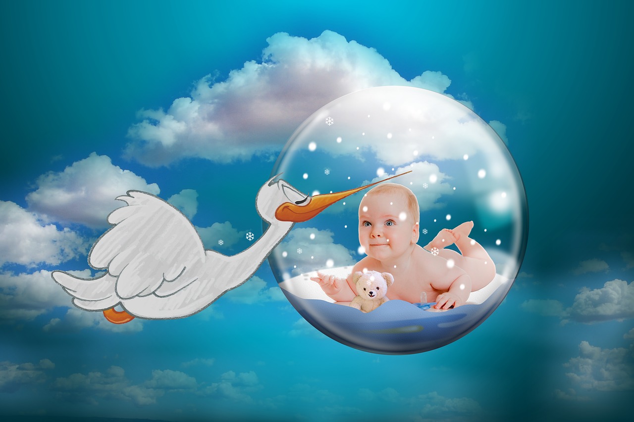 Image - baby stork rattle stork fertility