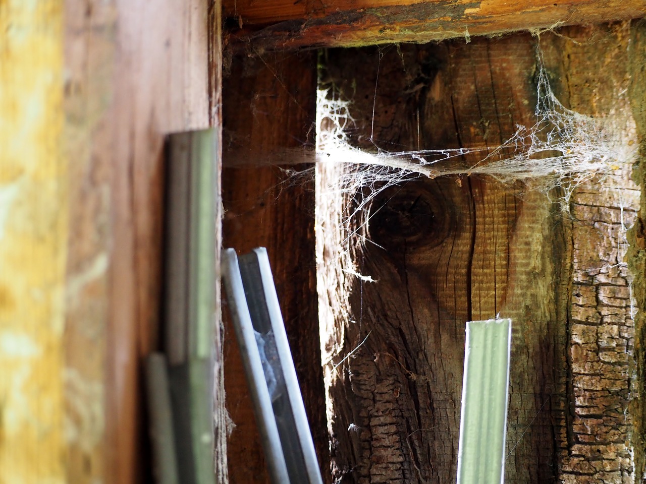 Image - stall spider webs wood old rustic