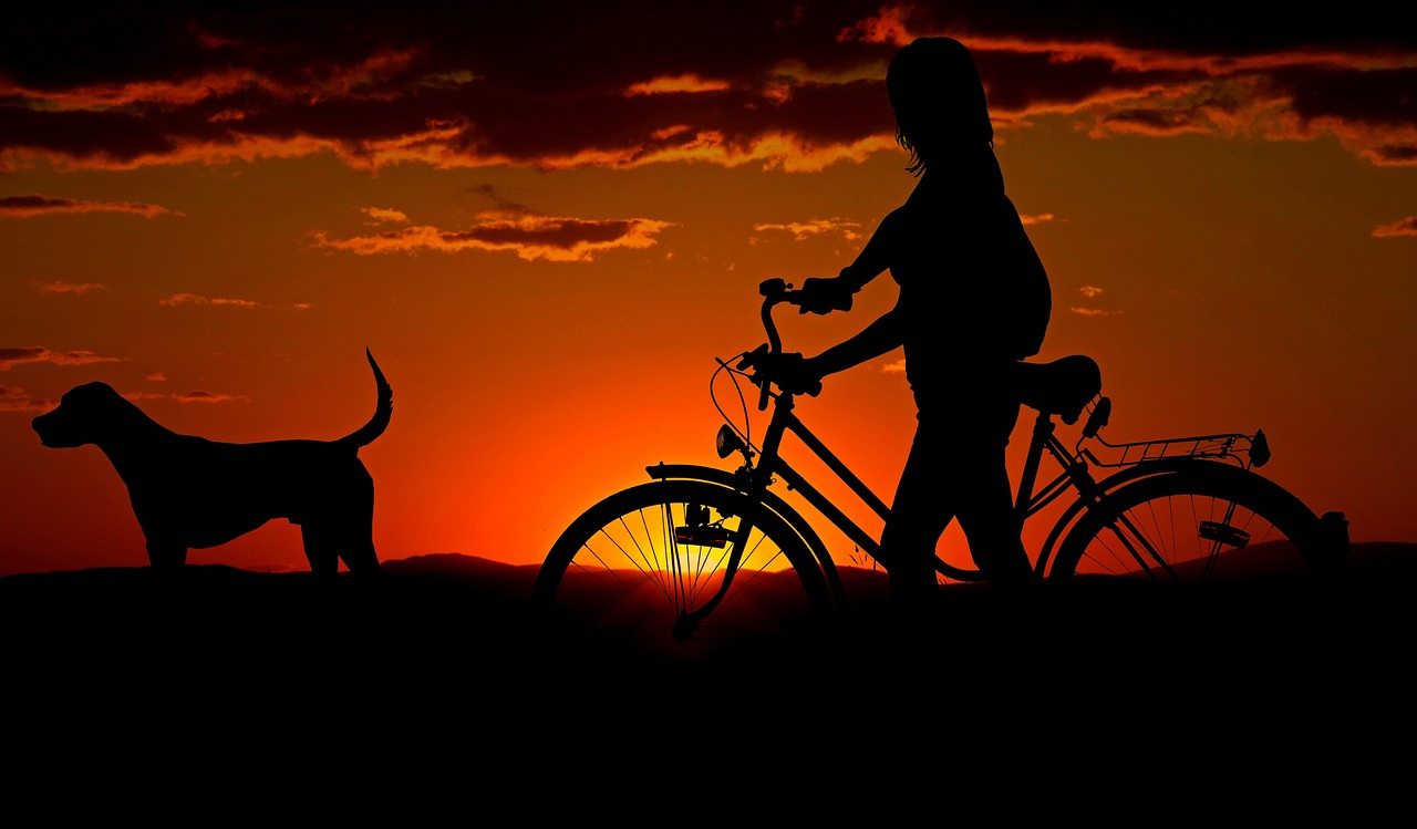 Image - woman girl bike sunset walk