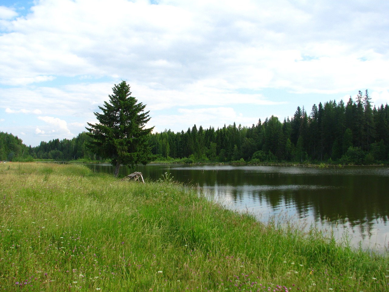 Image - perm krai pond landscape nature