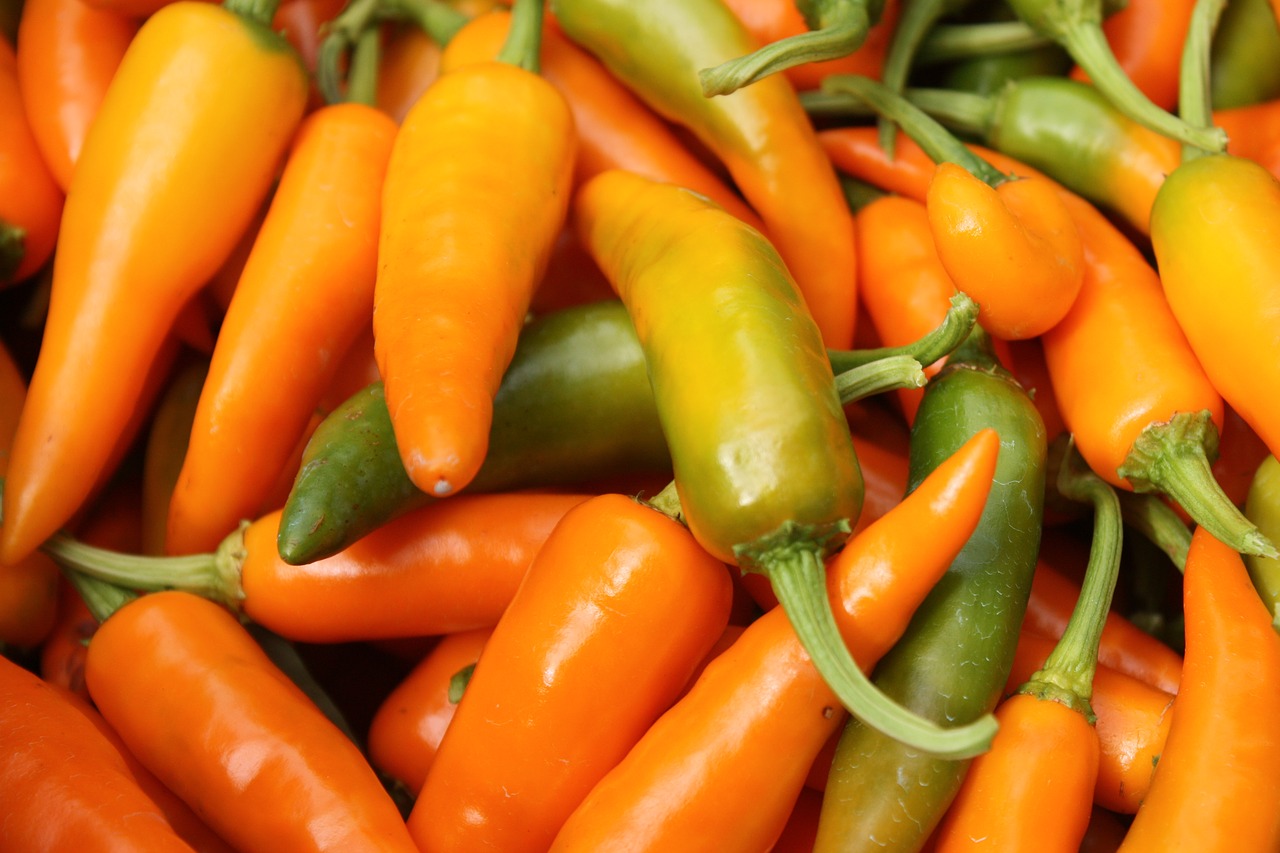 Image - chilli yellow savory farm farmland