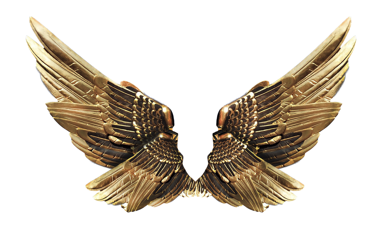 Image - wings gold fly