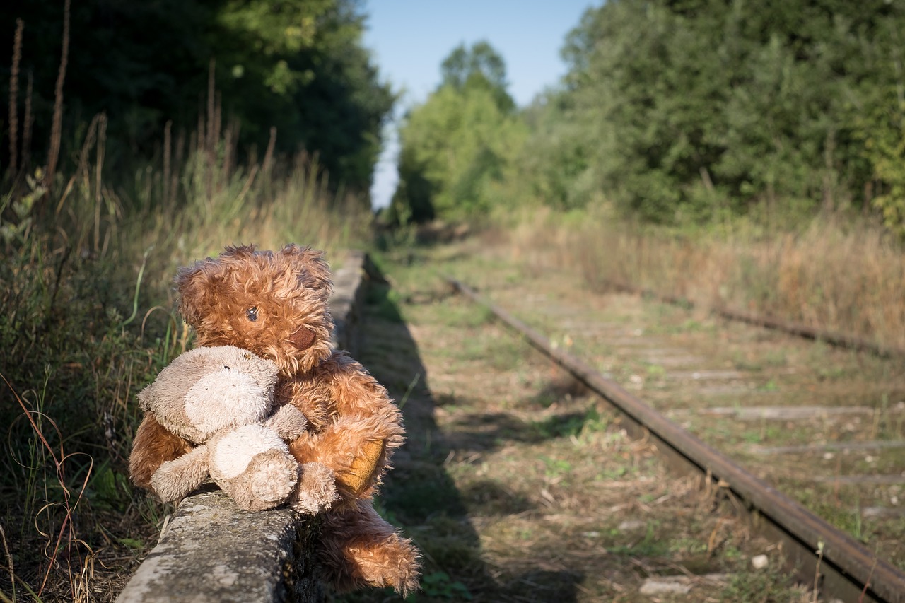 Image - old teddy bear lonely childhood