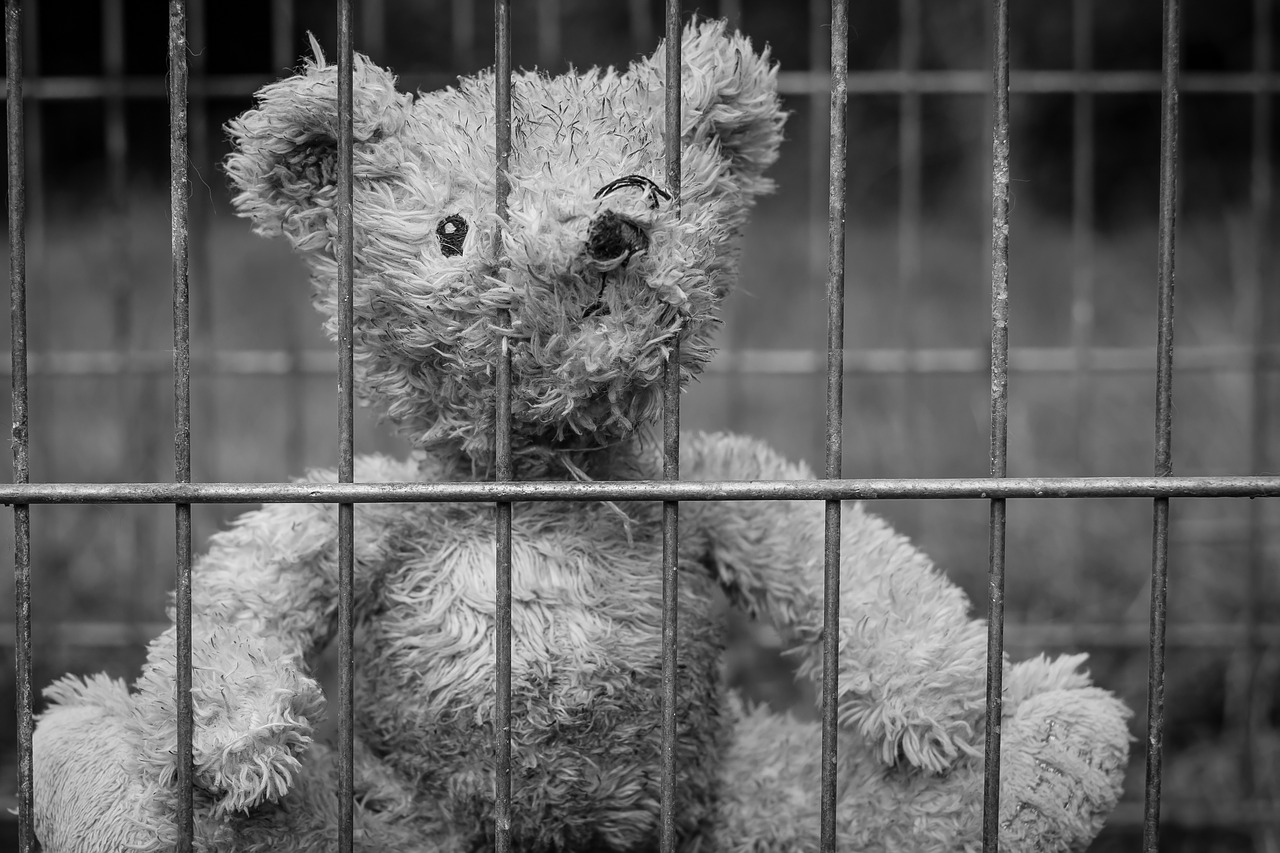 Image - teddy bear lost childhood lonely